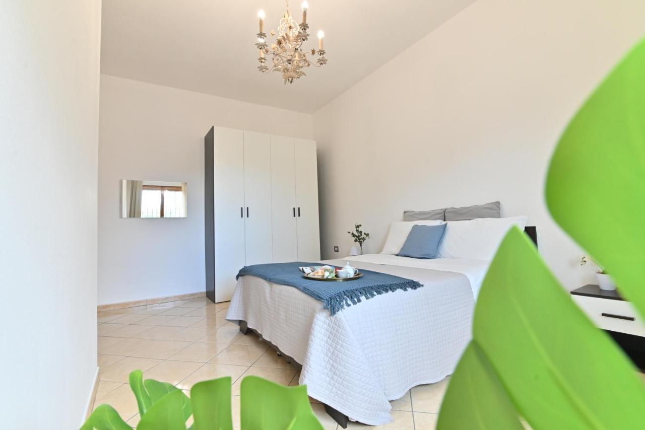 Izzhome Flamingo Pula Bagian luar foto
